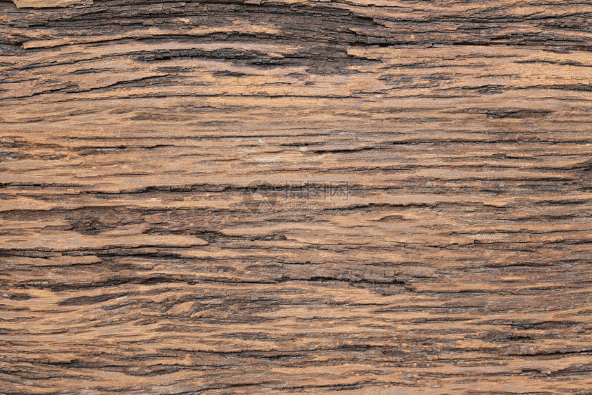 设计自然表面背景的旧木质料图片