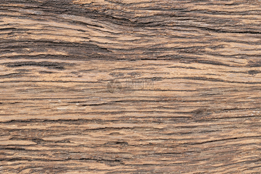 设计自然表面背景的旧木质料图片