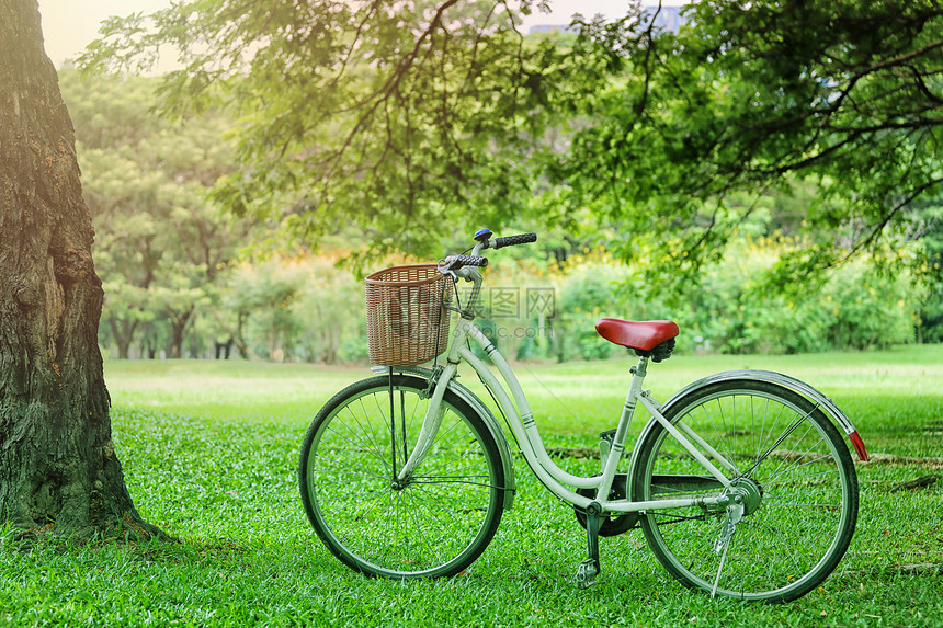 在公共园绿草地上停车的旧自行游乐场和度假旅概念图片