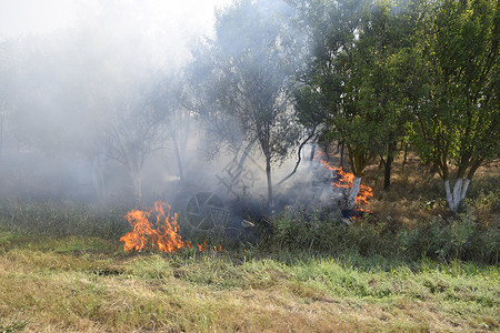 森林着火素材森林里着火了森林垃圾中的火和烟森林里的草在燃烧森林火灾森林里着火了森林垃圾中的火和烟森林里的草在燃烧森林火灾背景