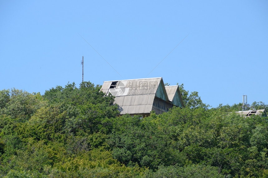 在山上为游客建造房屋在树上建图片