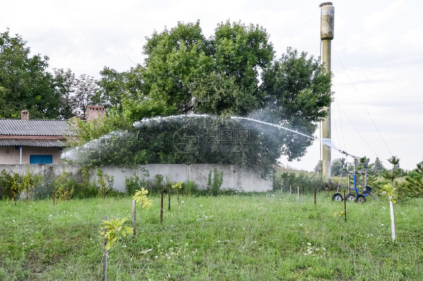 在花园里浇灌溉系统在公园里浇灌幼苗在公园里浇水田地SprinklerSprinkler图片