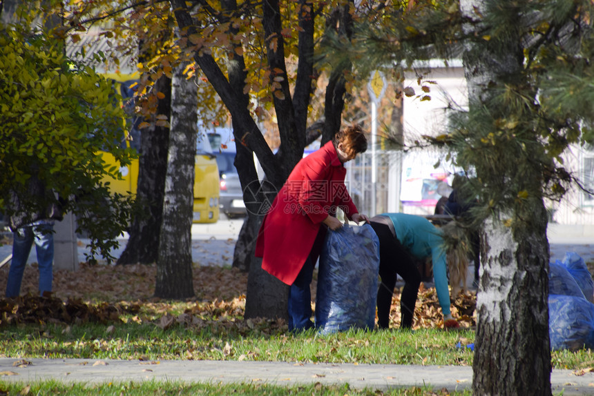 SlavyansknaKubaniRussia2016年9月日市政府的工人在公园里收集叶子女社会工作者将叶子移走市政府的工人在公图片