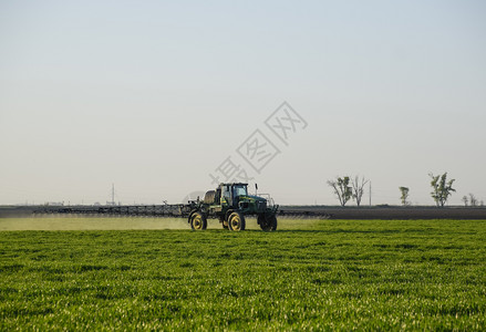 青丘女帝高轮式拖拉机正在对青小麦施肥使用细散喷雾化学品日落背景的拖拉机高轮式正在对青小麦施肥背景