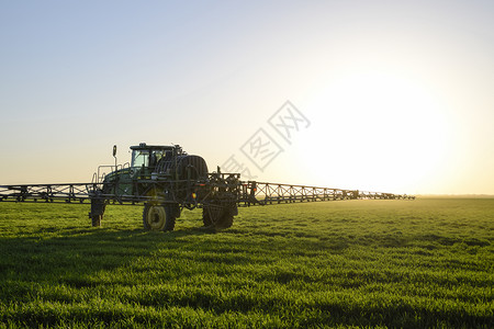 高轮式拖拉机正在对青小麦施肥使用细散喷雾化学品日落背景的拖拉机高轮式正在对青小麦施肥背景图片