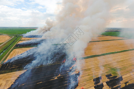 收获后在小麦田中烧草烟雾污染大气收获后在小麦田中烧草图片
