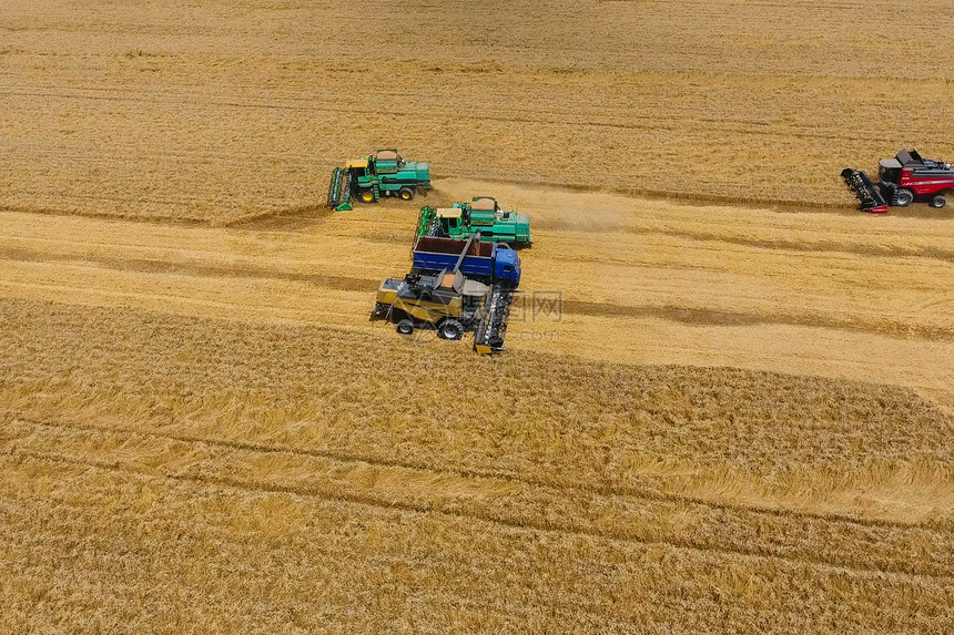 俄罗斯克拉诺达尔2017年月日收获小麦者农业机械在田间收获谷物农业机械在运行收获小麦者农业机械在收割谷物图片