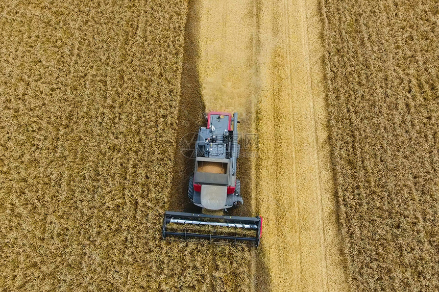 俄罗斯克拉诺达尔2017年月日收获小麦者农业机械在田间收获谷物农业机械在运行收获小麦者农业机械在收割谷物图片