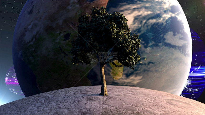 计算机生成了未来构在天体和恒星的背景下月球在地表面的树上由美国航天局提供的这张图像3D构成要素在天体和恒星的背景下月球表面的树上图片