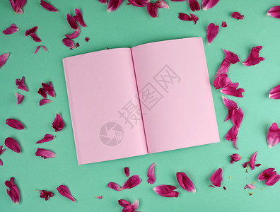 张开笔记本粉红空白页绿色背景和红小马的花瓣顶视图图片