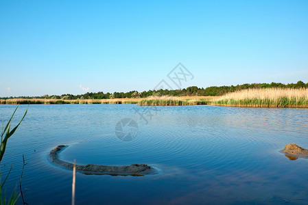 乌克兰蓝赫尔松市草原中的湖泊图片