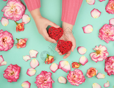 两只女手握着红心绿背景粉红玫瑰花瓣顶视假日背景图片