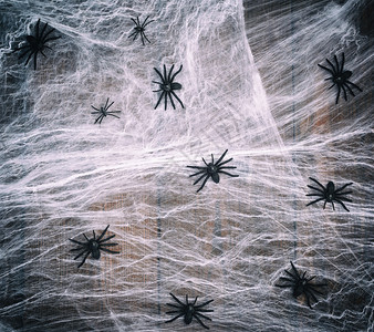 白色蜘蛛网和黑色蜘蛛在旧木板的木制背景上作为万圣节的背景图片