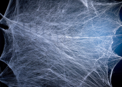 闹鬼的带蓝色背光的白网假日万圣节的背景复制空间设计图片