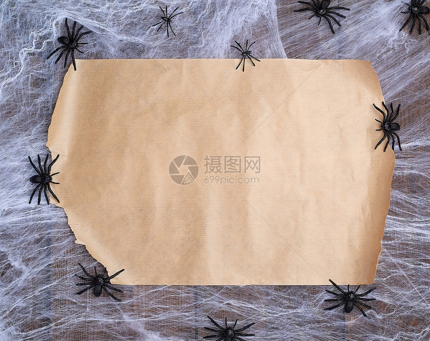 在白网和黑蜘蛛上画一纸棕色写万圣节邀请函的空位图片