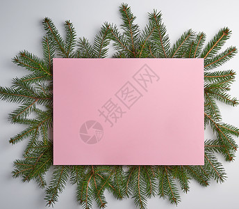 祝贺圣诞背景空粉红色纸绿的树枝白假平图片
