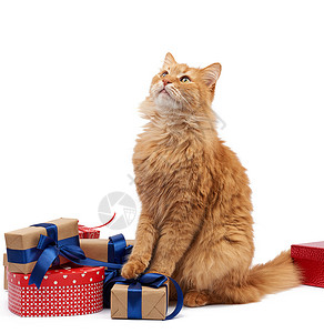 姜黄色丝带坐在包着棕色纸的盒子中间绑着丝带礼物和白色的动生日贺卡情人节背景
