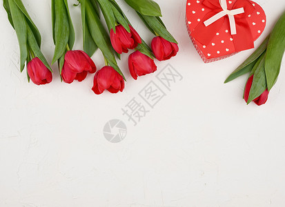 红色盛开的郁金香花束配有绿色叶子包着的礼物上面是白色背景顶层的丝绸红色带生日情人节的喜悦背景背景图片