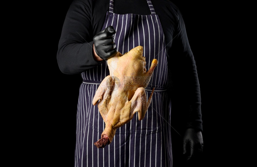 穿条纹蓝色围裙和黑衣服的男厨站在色背景上手里握着鸭子做饭图片