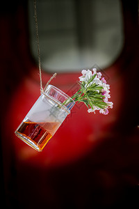 香草茶瓶花挂在绳子上图片
