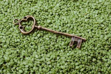 绿色沙上的回金风格色密钥背景图片