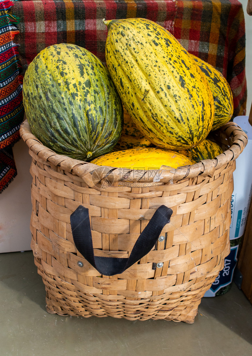 绿色的斑面甜瓜在一片草篮中观景图片