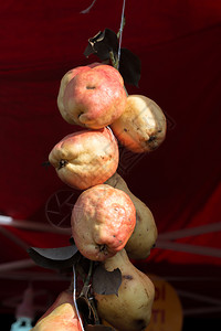 在土耳其街头集市上吊挂的梨子背景图片