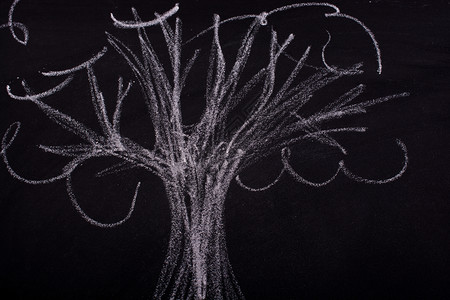 在黑板上用粉笔手画树背景图片