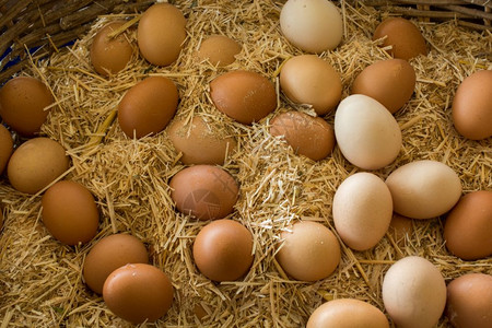 市场有机新鲜农鸡蛋图片
