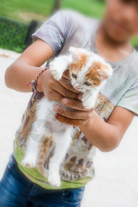 男孩在空中抱着一只白小猫图片