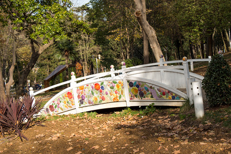 木白桥上面有花朵多彩的白桥背景图片