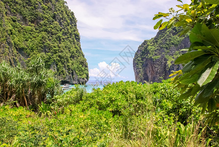 泰国普吉岛山丘上的森林泰国质普吉岛山丘上的森林泰国质图片