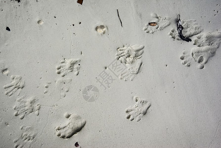 沙滩上孩子的手的痕迹沙子里孩子手的痕迹图片