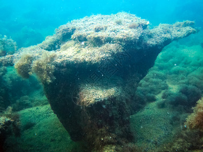 沉船的残骸海底质水下动植物生命海底的质背景图片