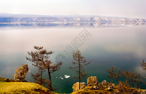 西伯利亚狼哈马尔海岸线图片素材