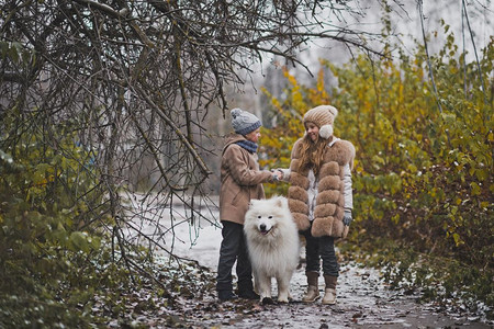 女孩和男与狗种Samoyed983一起散步图片