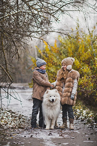 女孩和男与狗种Samoyed9834一起散步图片