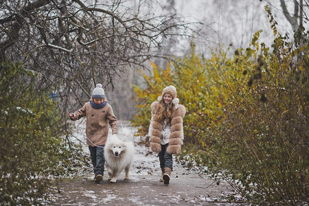 女孩和男与狗种Samoyed9835一起散步图片