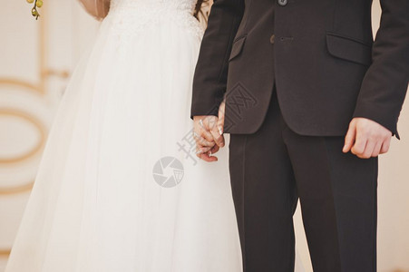 婚礼时间新娘和郎握手8056图片