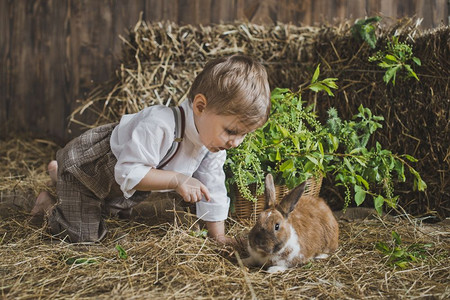与动物玩耍的儿童与兔子合影6057图片