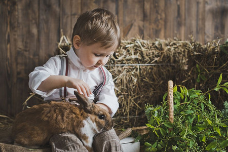白兔和干草盒中小子的肖像一个小男孩和兔子玩耍的肖像6048背景图片