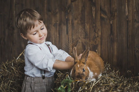 穿洋装兔子穿白衬衫长裤和吊带的孩子肖像背景
