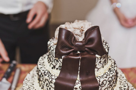 棕色的蛋糕5268弓的婚礼蛋糕图片