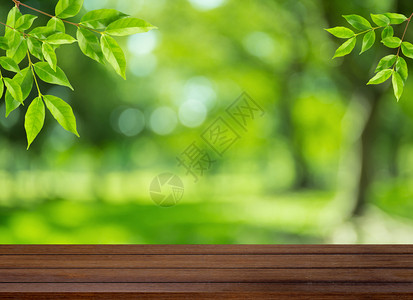 绿色布OKH和叶背景的木质表顶部可用于显示或添加产品图片