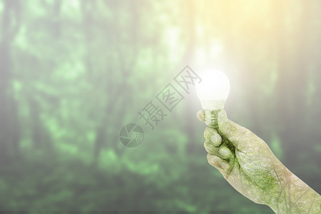 与森林自然背景环境和生态概念并存的灯泡能源双重接触图片