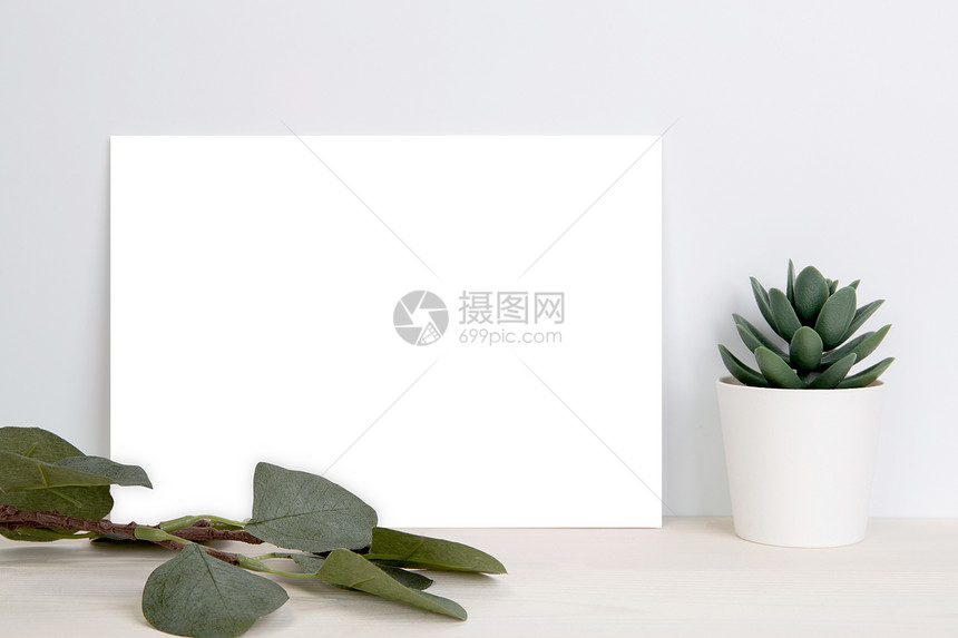 空白纸板复制间装有模型和在木制桌子上的植物海报和请柬桌上空着卡片装饰你的设计或品牌简洁和陋没有人图片