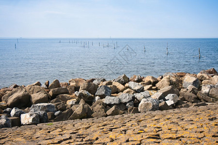 荷兰海岸大岩石的突破水图片