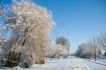 美丽的寒冬风雪景背景图片