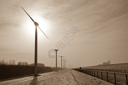 荷兰雪地风车大的塞皮亚景象图片