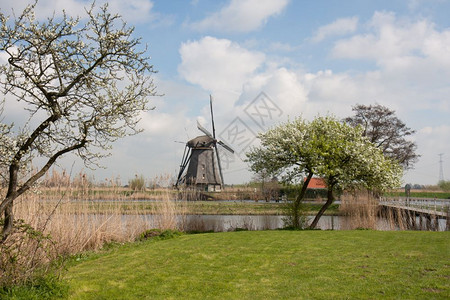 荷兰春季历史风车图片